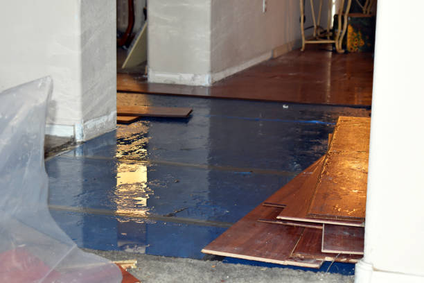 Professional Burst Pipe Cleanup technician working in Irvington, KY