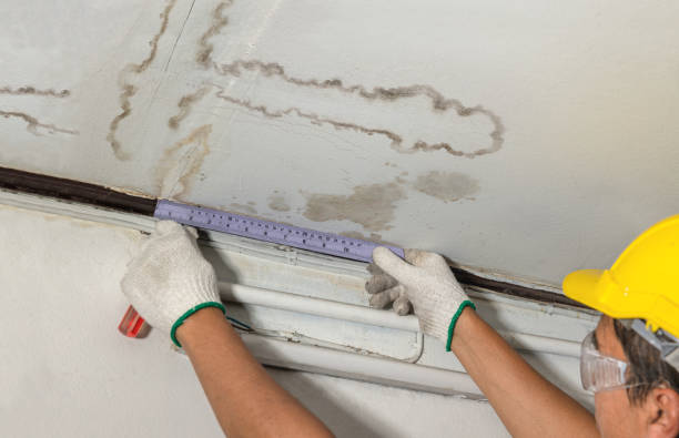 Reliable Burst Pipe Cleanup contractor in Irvington, KY by Water Damage Irwin
